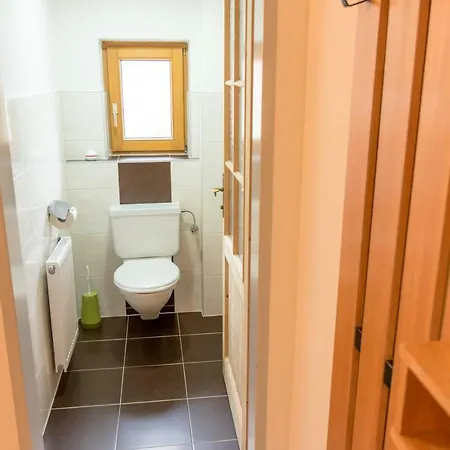 Apartament Alpenrose Mayrhofen