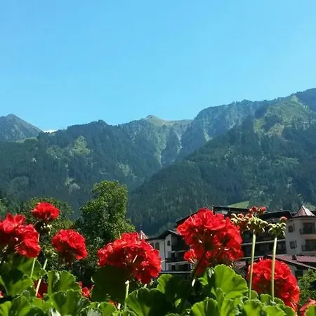 Alpenrose Apartman *