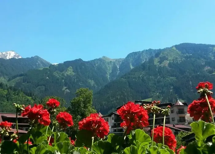 Alpenrose Lägenhet *